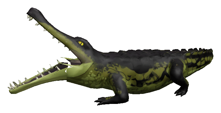 Old Coaljaw